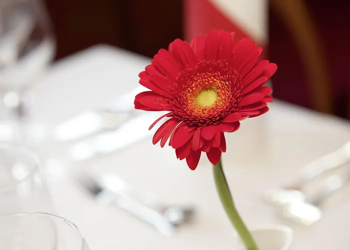 Filser Hotel Füssen