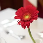 Filser Hotel Füssen