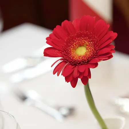 Filser Hotel Füssen